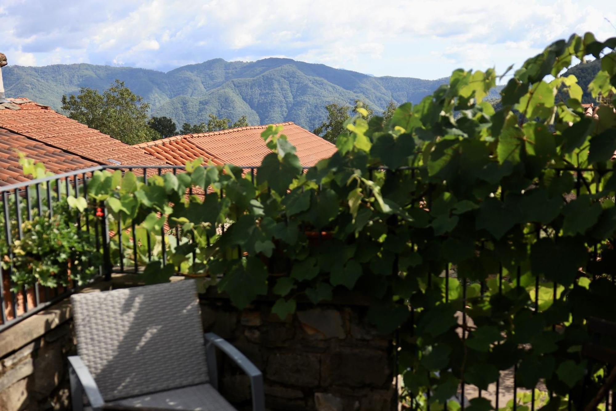 Agriturismo Montagna Verde Apella Licciana Nardi Exterior photo